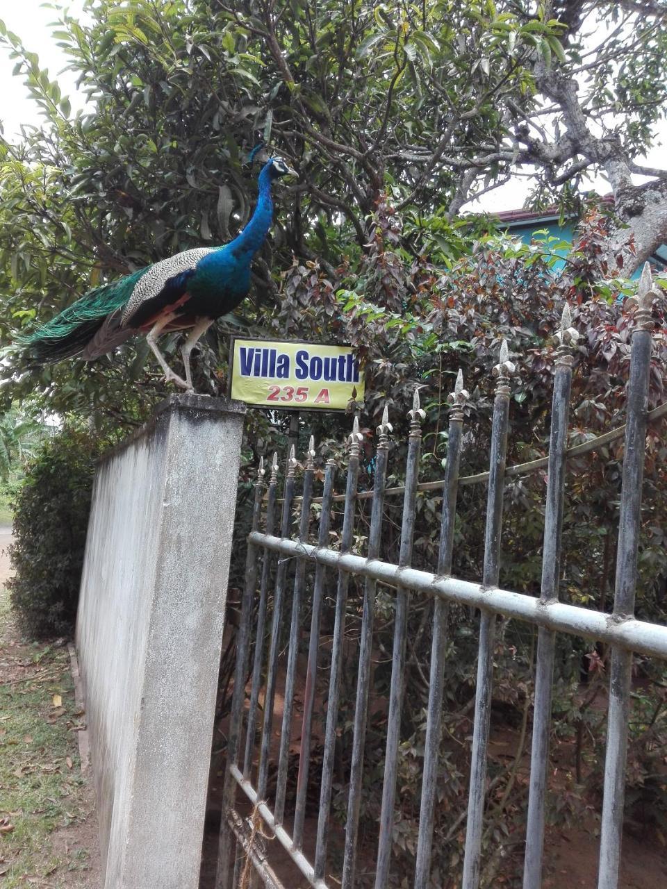 Weligama Villa South Экстерьер фото